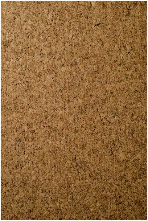 Close-up of a natural corkboard texture perfect fo