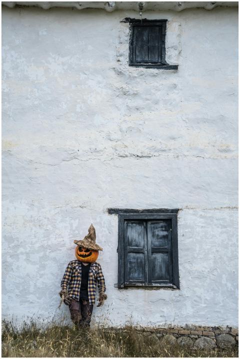 A man with a pumpkin head stands by a rustic wall
