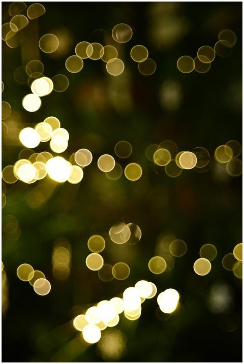 Abstract golden bokeh lights creating a festive an