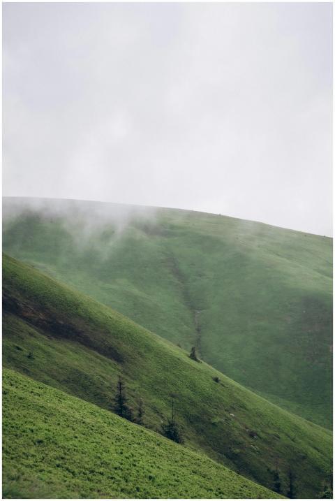 Scenic view of misty green hills in Ukraine, captu
