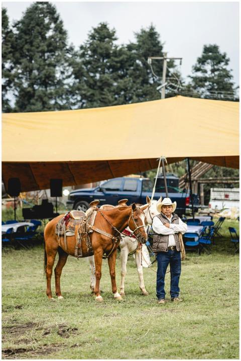 A cowboy stands with two saddled horses under a te