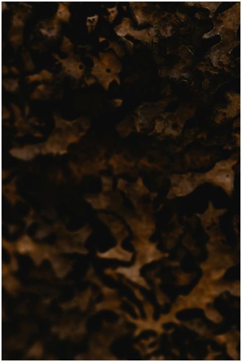 Close-up image showcasing the intricate texture of