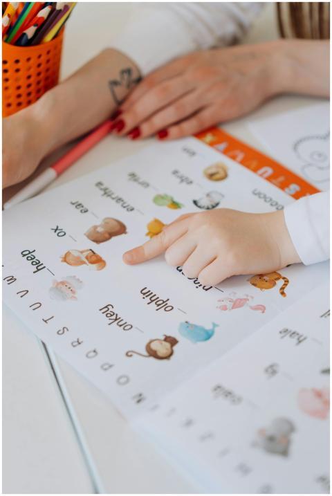 A child points to animals in a colorful alphabet b