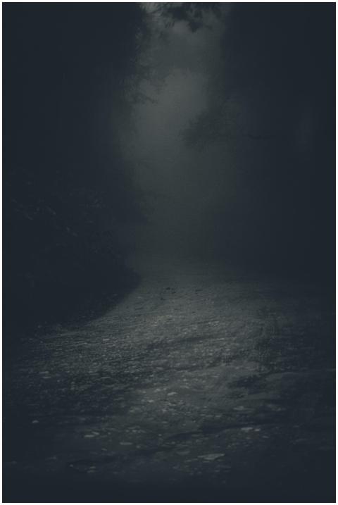 A mysterious and eerie forest pathway shrouded in