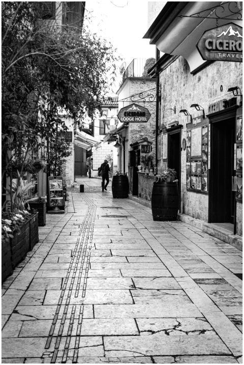 A quaint cobblestone alley with rustic charm and s