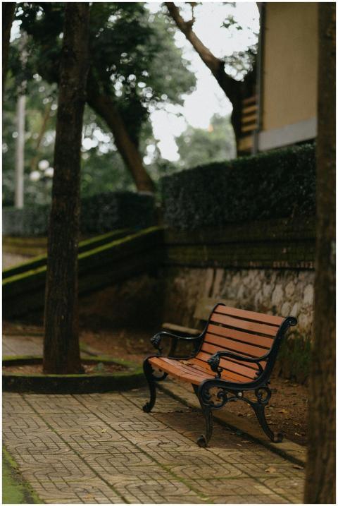 A solitary wooden bench on a serene path, surround