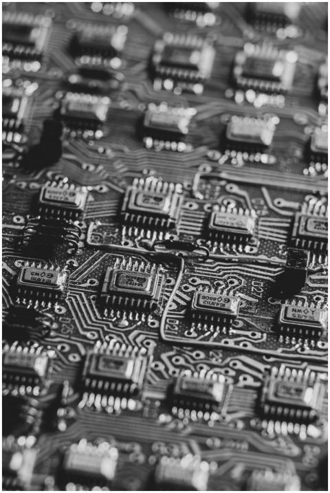 High-detail black and white image focusing on micr