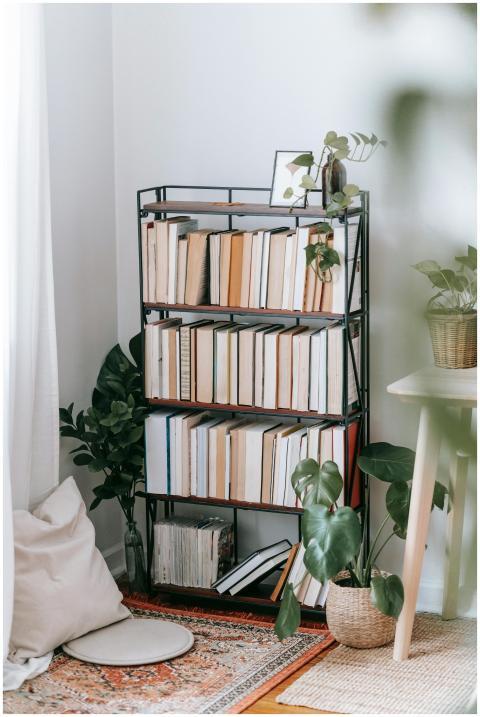 Room interior with exotic plants and textbooks in