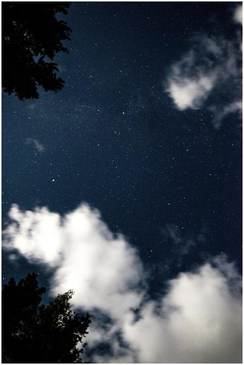 Gazing up at a starry night sky framed by clouds a