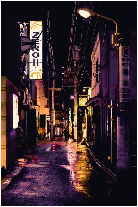 A captivating street scene in Shinjuku, Tokyo, sho