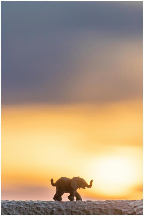 A toy elephant set against a peaceful sunset creat