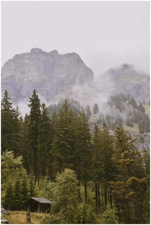 Tranquil scene of the Swiss Alps with misty mounta