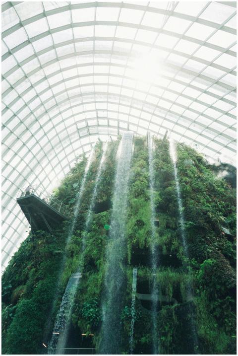 Explore the lush greenery and stunning waterfalls