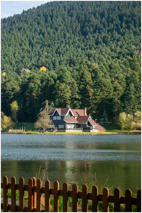 Charming house surrounded by lush forest and calm