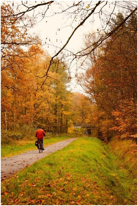 A cyclist wearing a red jacket rides through a col