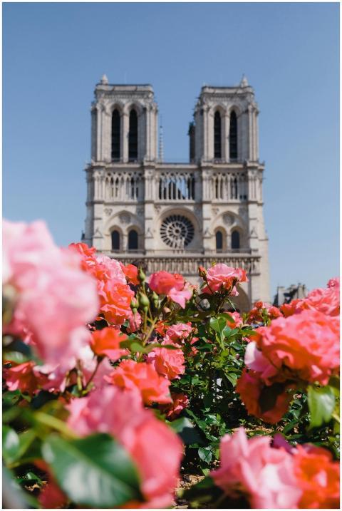 A vibrant view of Notre Dame Cathedral with pink r
