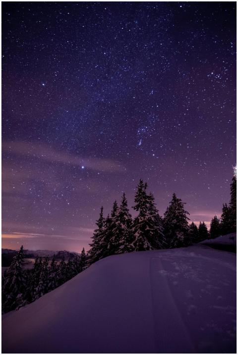 A breathtaking view of a starry winter night sky o