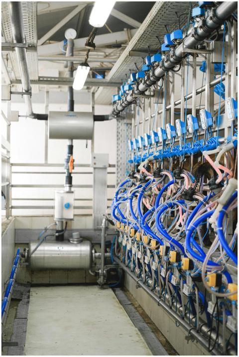 Detailed view of industrial machinery in a modern