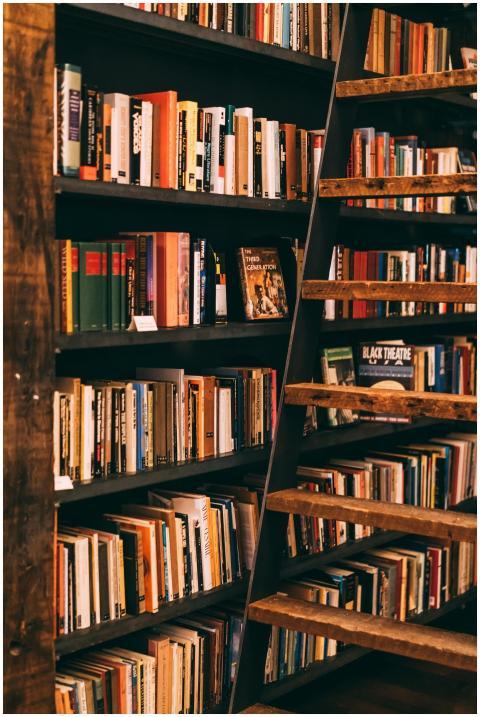 Warm, inviting library scene featuring wooden shel