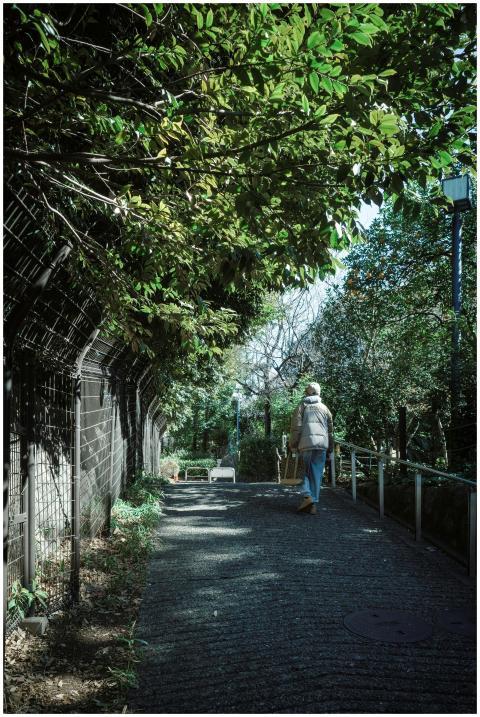 A peaceful path under lush greenery in Meguro City
