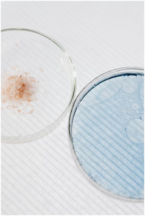 Detailed view of blue liquid and powder in petri d