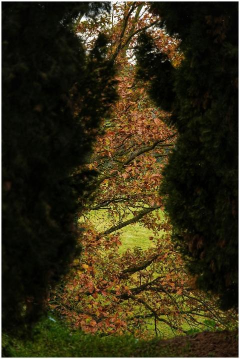 Beautiful autumn landscape framed by trees with vi