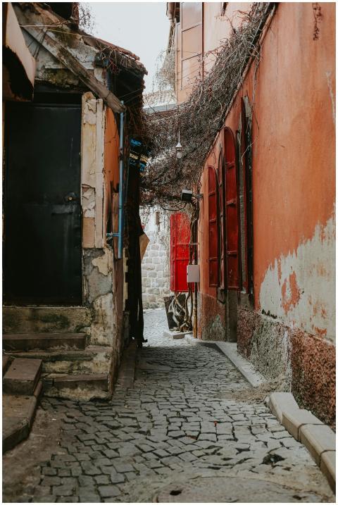 Explore a quaint, winding cobblestone alleyway fla