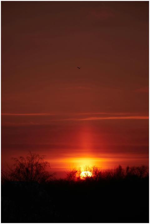 Captivating silhouette at sunset with warm, vibran