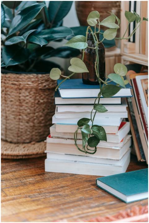 A warm interior scene featuring a stack of books a