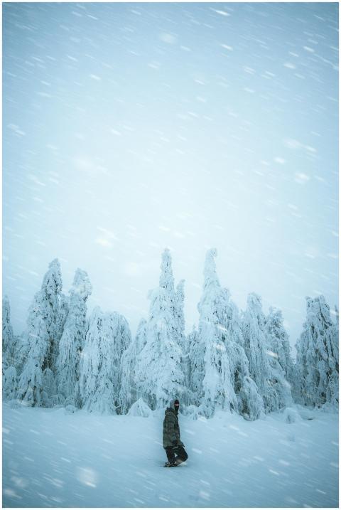A lone person stands amidst snow-covered trees dur