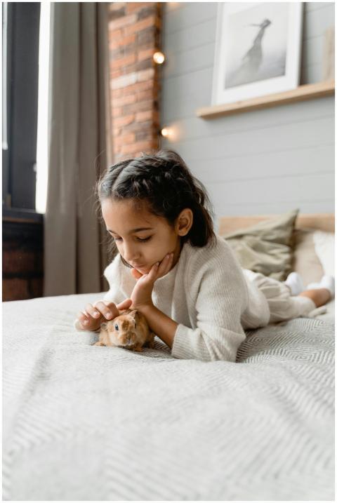 A young girl gently petting a guinea pig on a cozy