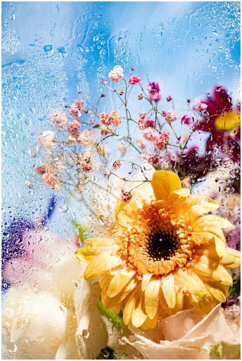 A colorful arrangement of flowers viewed through a
