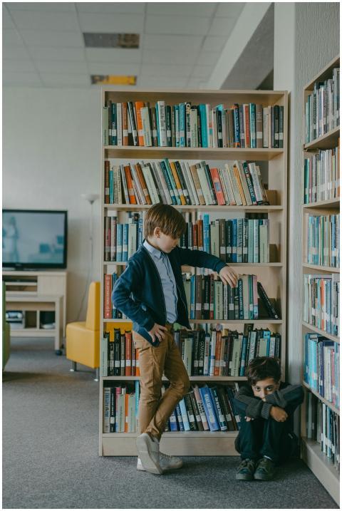 Two boys in a library, one standing and one sittin