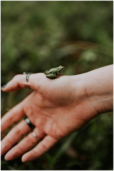 A tiny frog perches on a person's hand amidst a lu