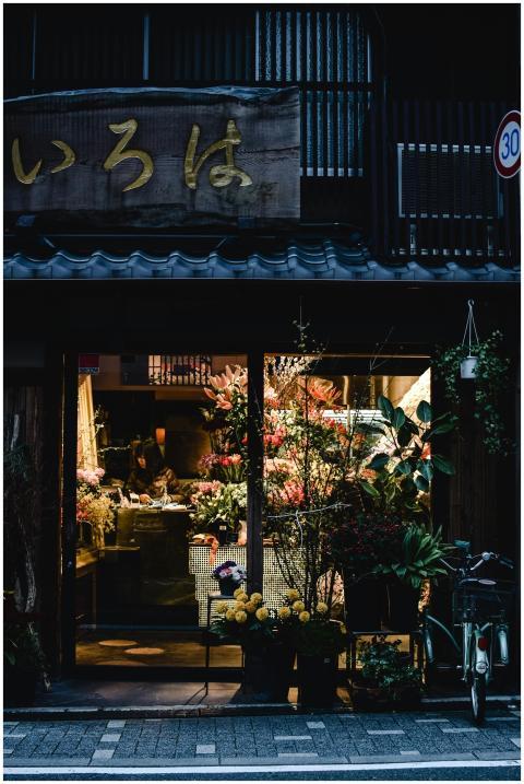 A cozy flower shop in Kyoto, Japan, beautifully li