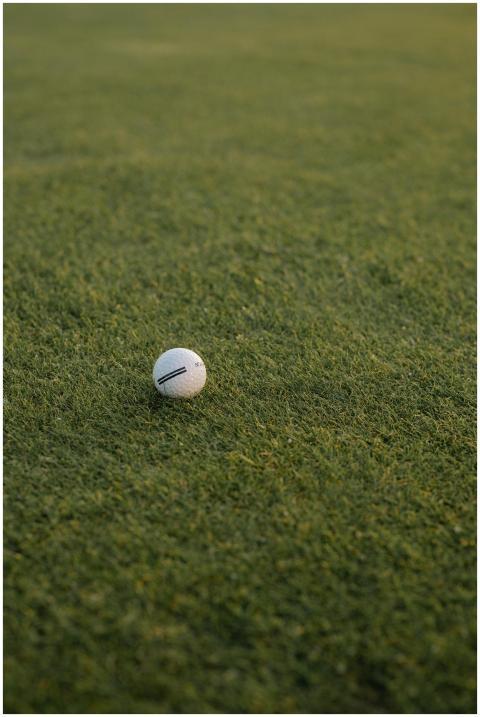 Close-up of a white golf ball resting on green gra