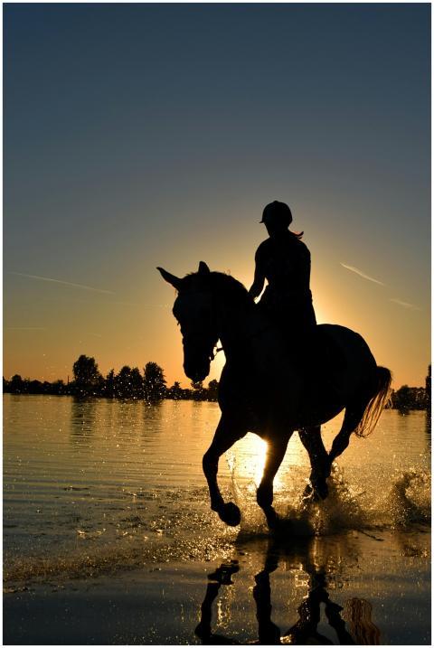 A silhouette of a person riding a horse on the bea