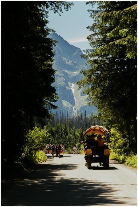 Free stock photo of alpine scenery, eco tourism, f