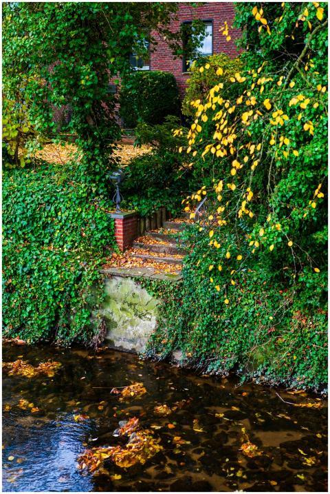 Idyllic autumn garden scene featuring a brick path