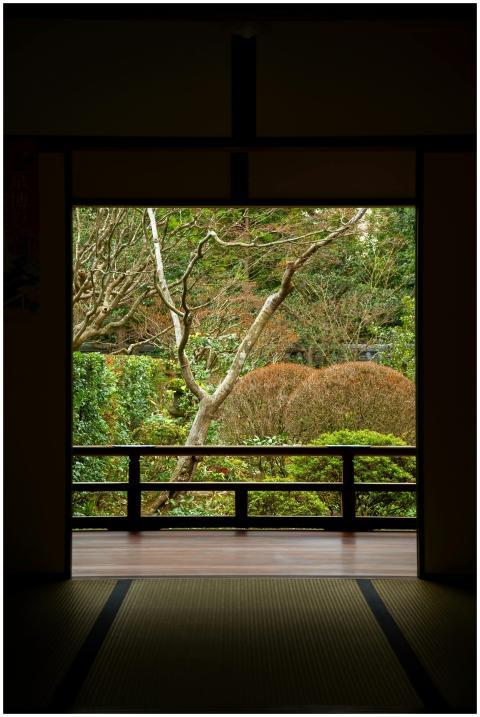 View of a tranquil Japanese garden from a traditio