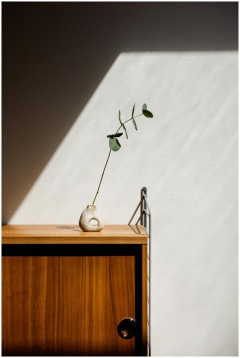 A minimalist vase with leaf sprig on wooden cabine