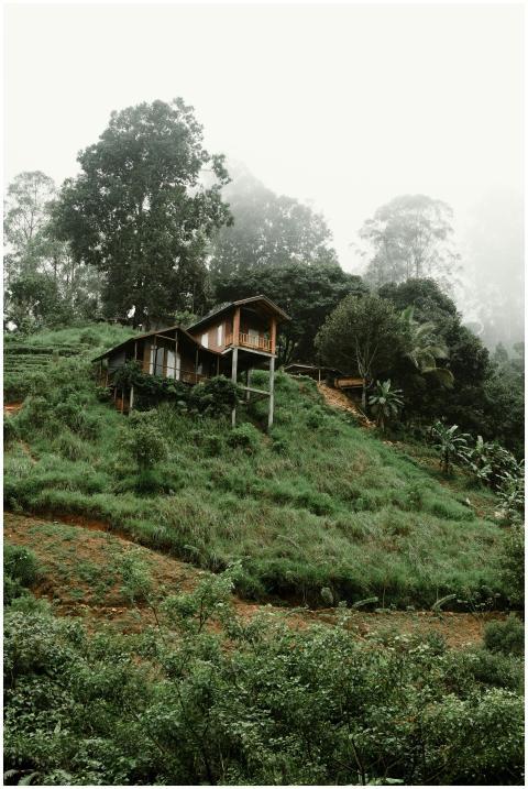 Charming wooden house on a lush, misty hillside in