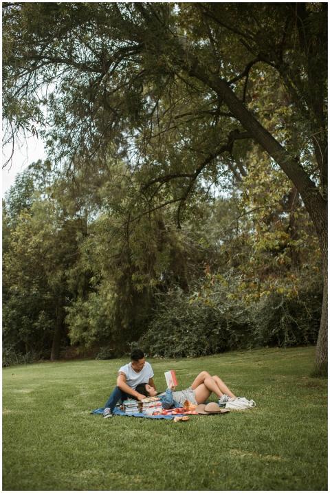 Romantic outdoor picnic with couple reading books