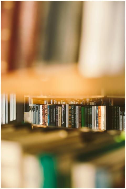 A collection of books on a wooden library shelf in