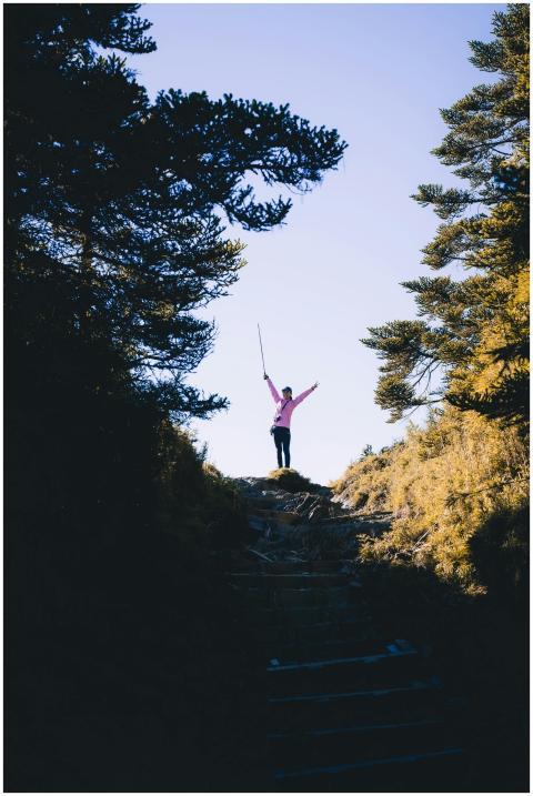 A woman stands triumphantly on a hill in a forest,