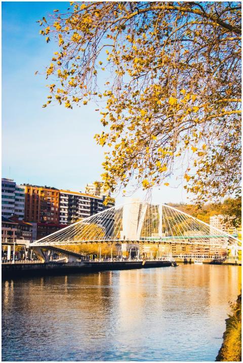 Scenic view of the Zubizuri Bridge in Bilbao durin