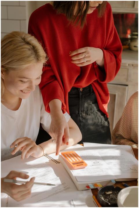 Two college students collaborate on homework, disc