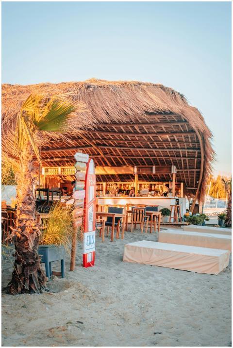 A luxurious tropical beach bar with palm trees and