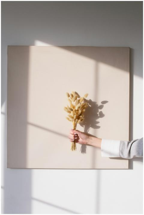 A minimalist composition featuring a hand holding