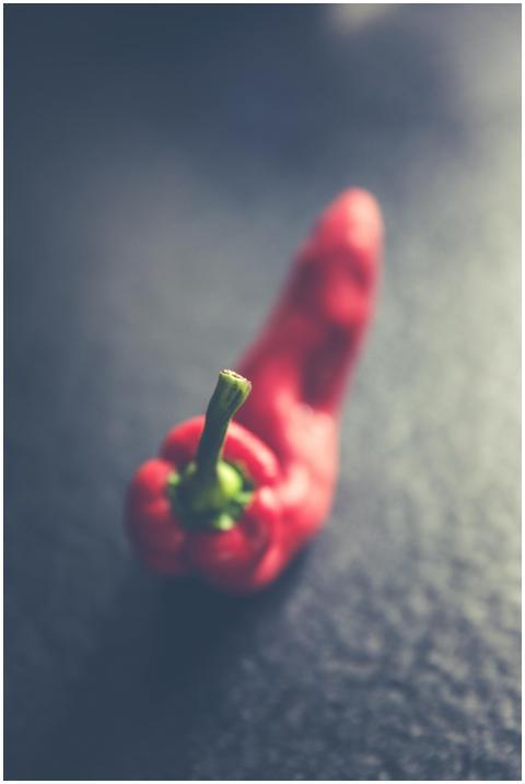 Artistic shot of a red pepper with moody lighting,
